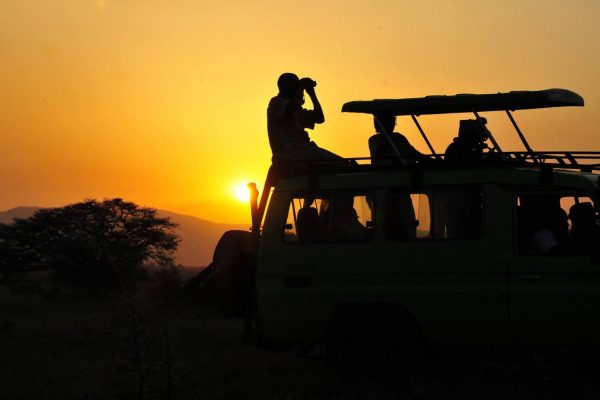 Exciting Game Drives in Kidepo