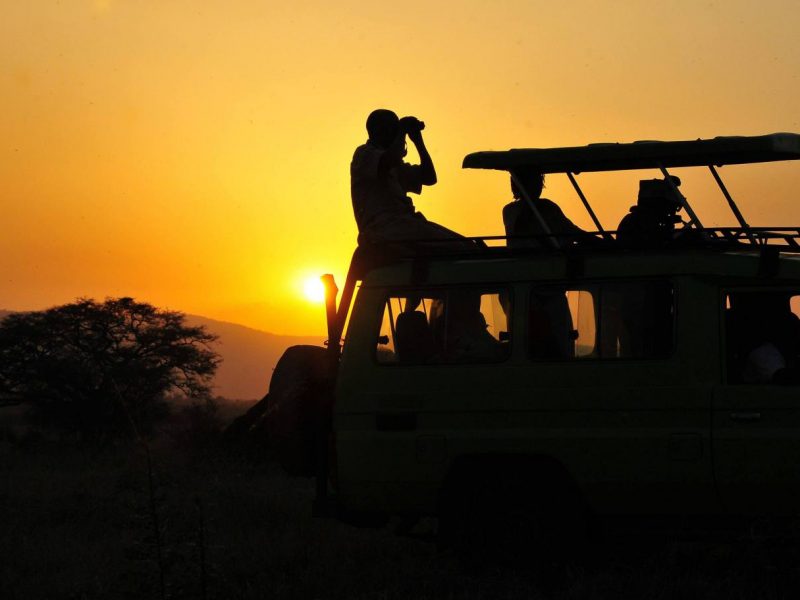 Exciting Game Drives in Kidepo