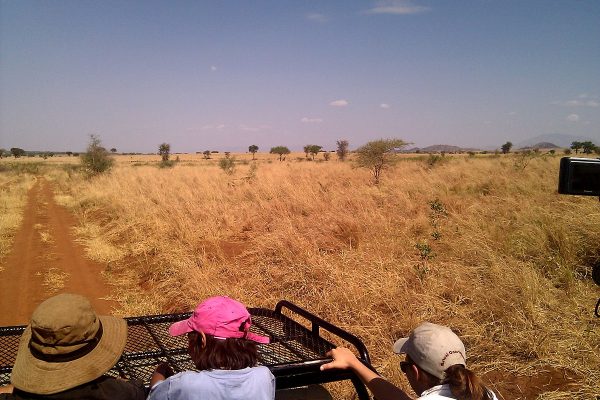 Exciting Game Drives in Kidepo