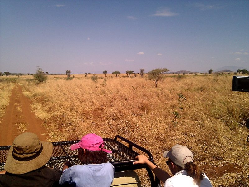 Exciting Game Drives in Kidepo