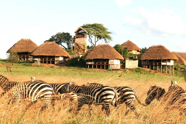 Apoka Safari Lodge