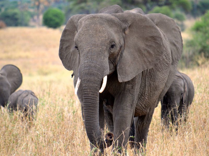 Kidepo National Park